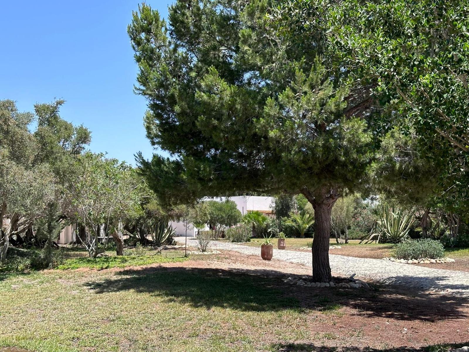 Domaine De L'Arganeraie Hotel Al Ghar Kültér fotó